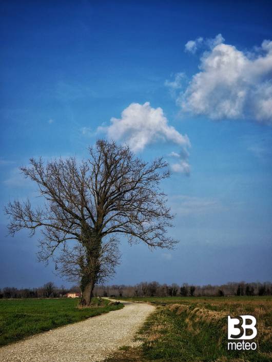 primavera quasi