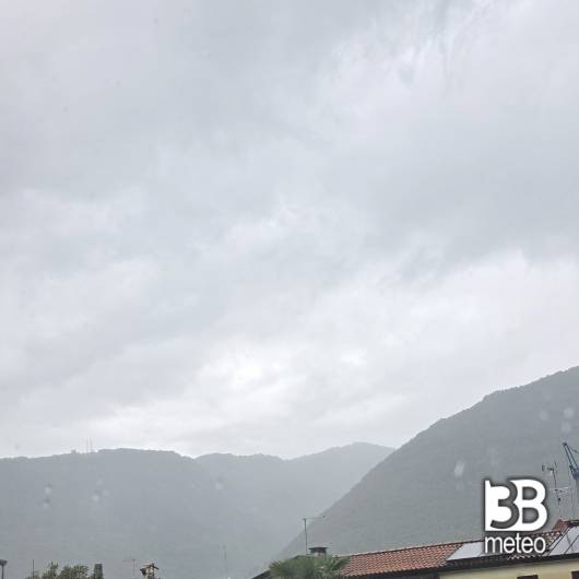 Borso del grappa