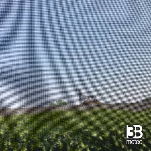 Tribiano