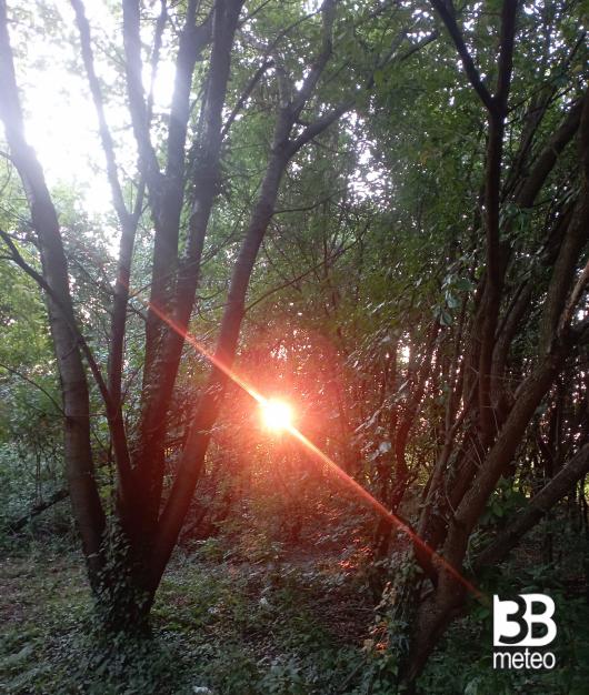 alba