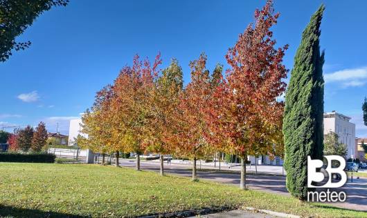 colori d'autunno....
