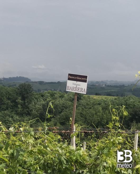agriturismo ca' colomba