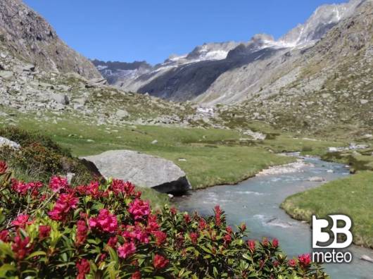 valle adame'