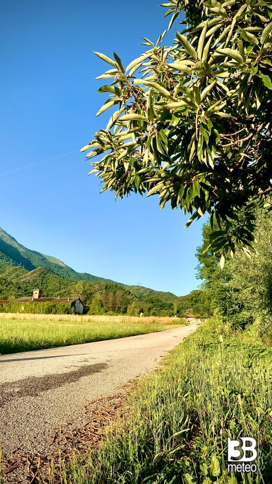 in mezzo alla campagna