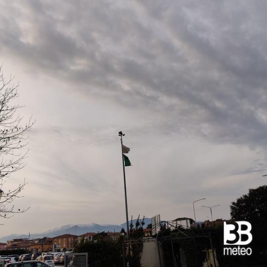 Pontedera