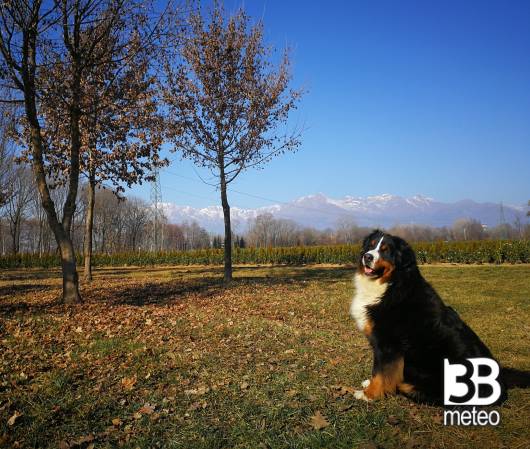 oggi bello.