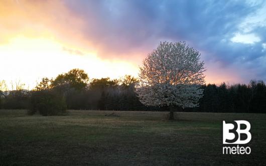 rosso di sera.. pioggia si spera.