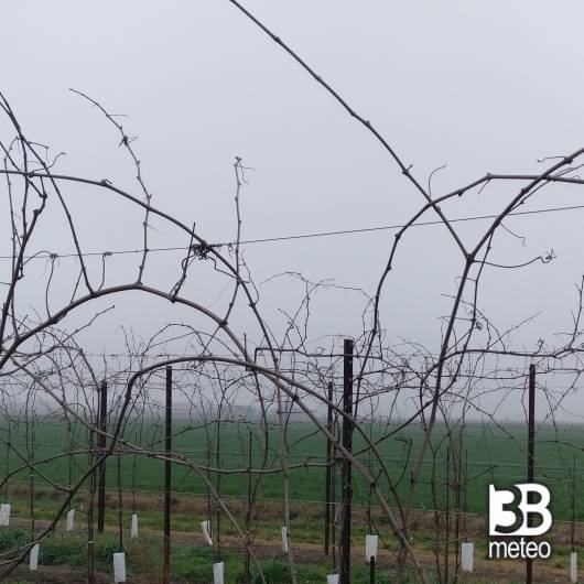 nebbia
