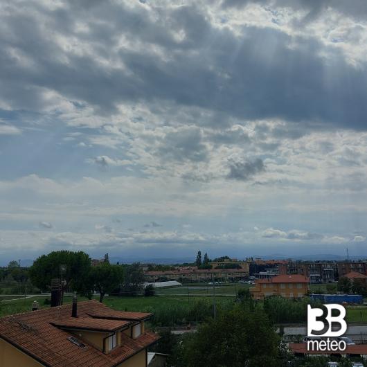 Bellaria igea marina