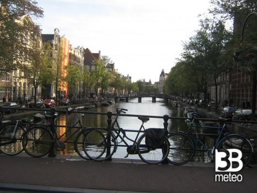 CanaleadAmsterdam
