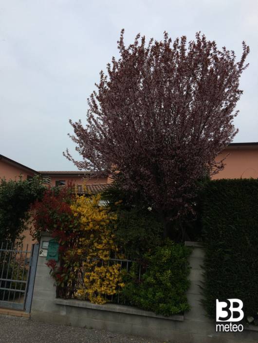 primo giorno di primavera 