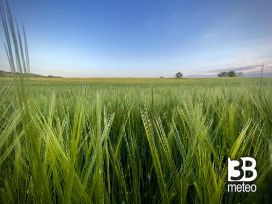campagna al tramonto