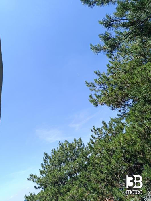 Fotosegnalazione utente