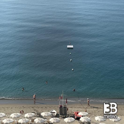 Savona