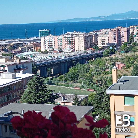 Genova pra