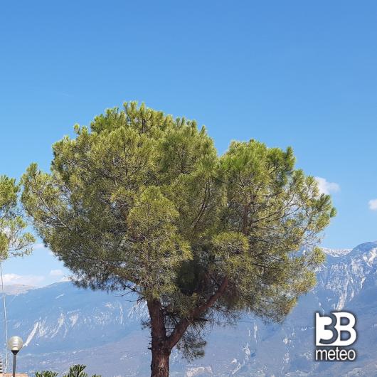 Sereno sul baldo