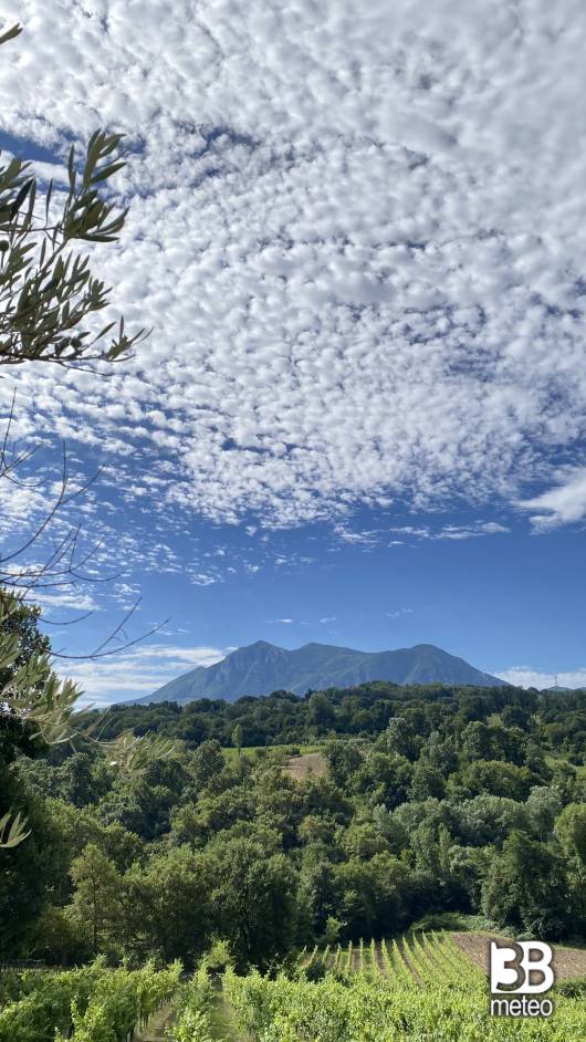 tenuta scuotto