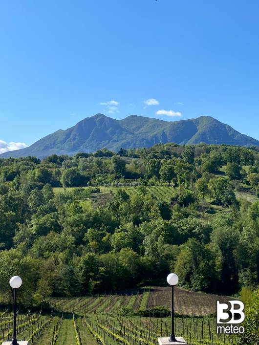 Lapio