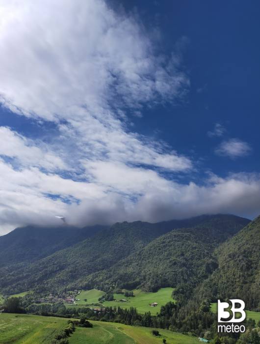 velature estese
