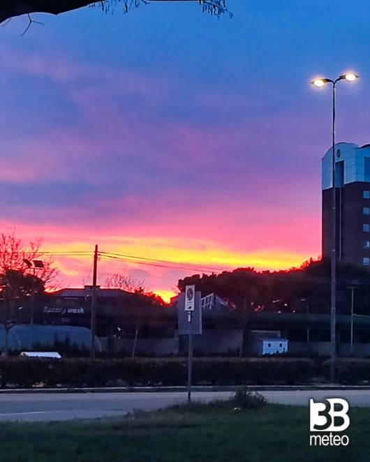 alba al saval 110323