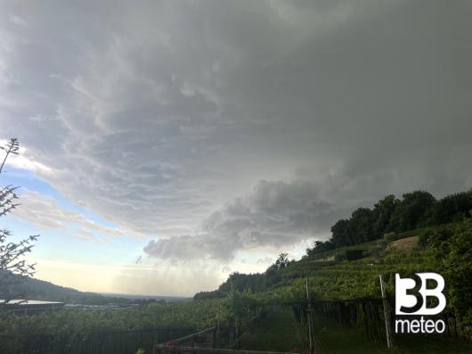 la bella vigna