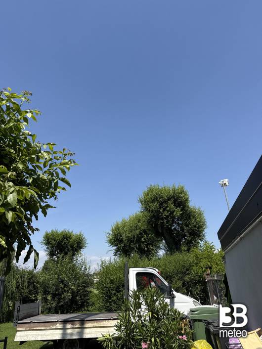 sole