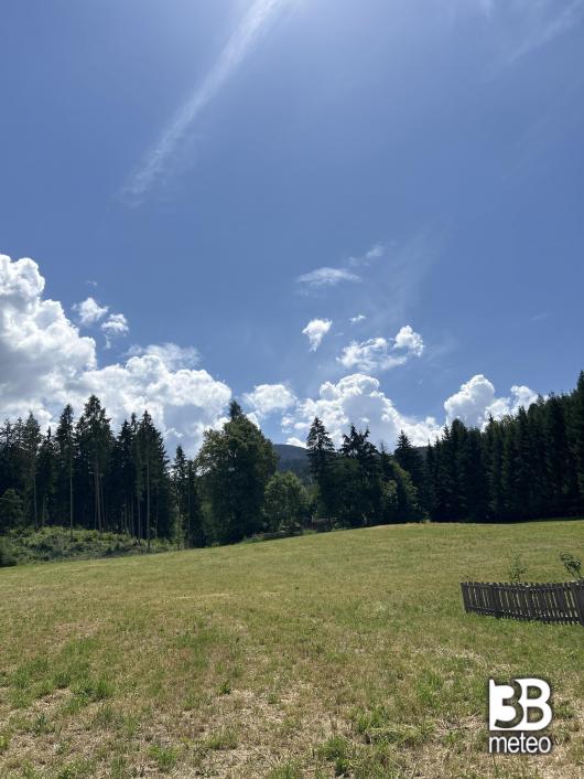 Masi di Cavalese