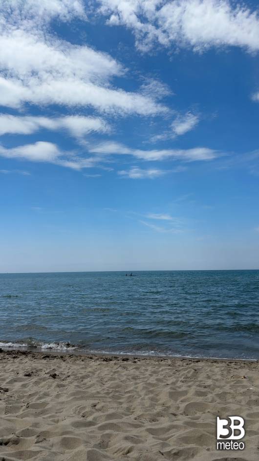 Meteo mare torvajanica