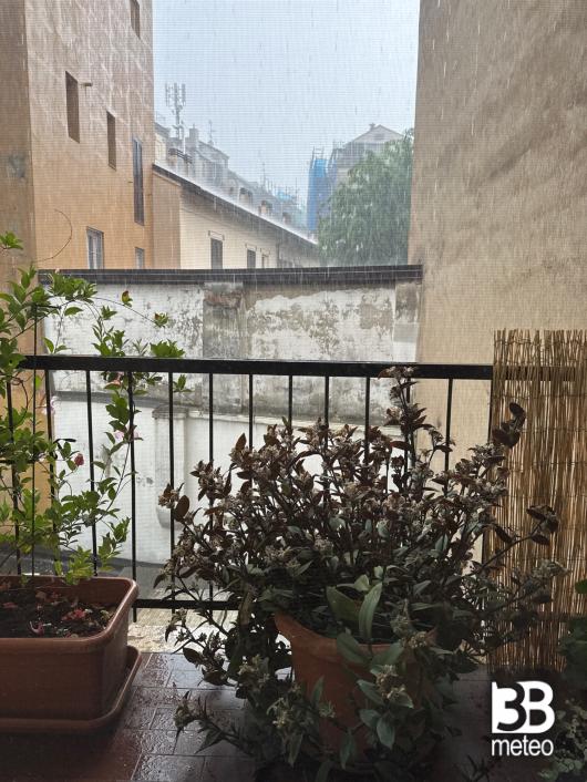 Milano sarpi