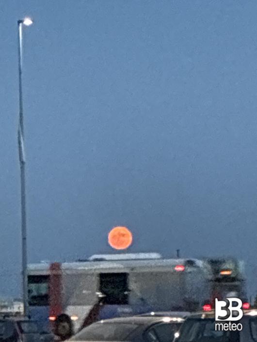 luna rosa