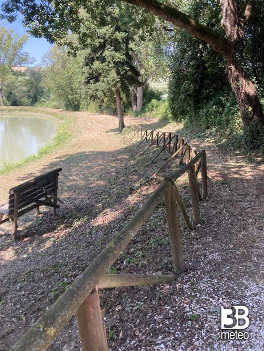 lago delle rose Barchi