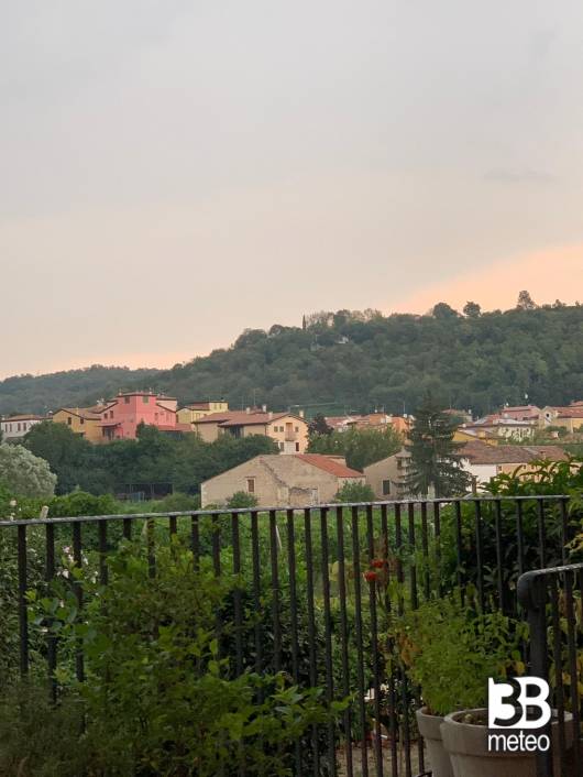 Alonte