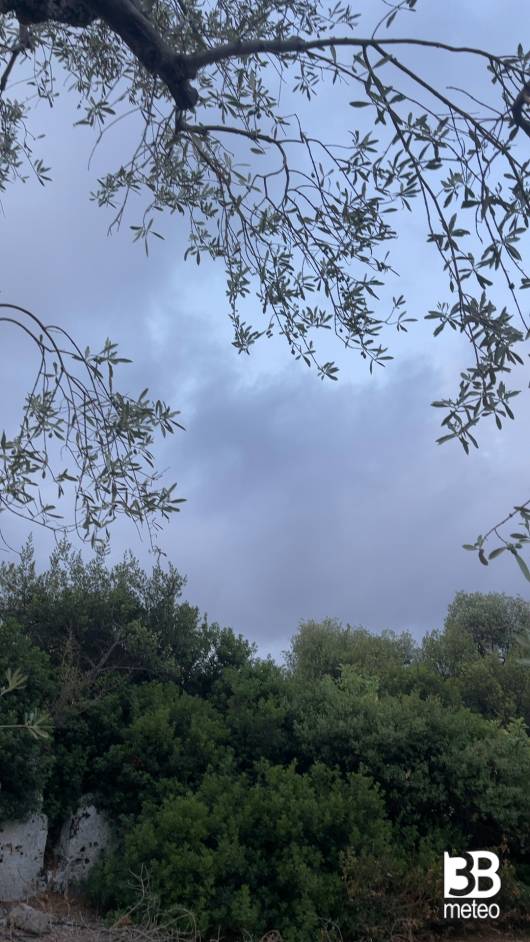 Meteo