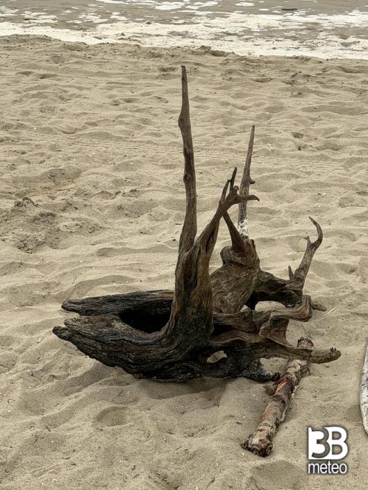scultura dal mare