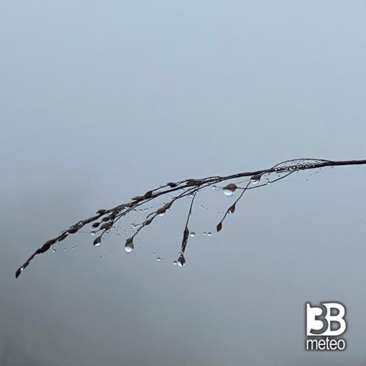 Nebbia