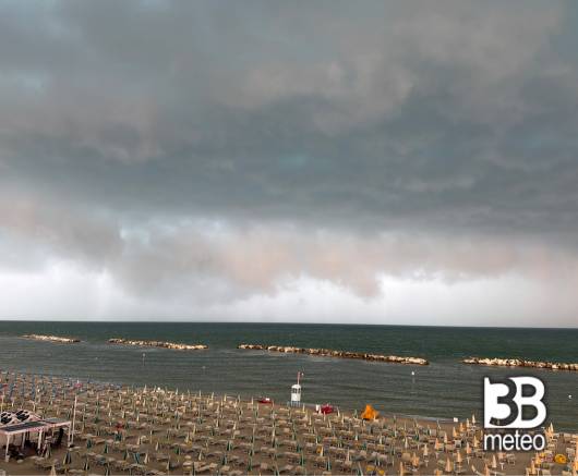 Bellaria igea marina