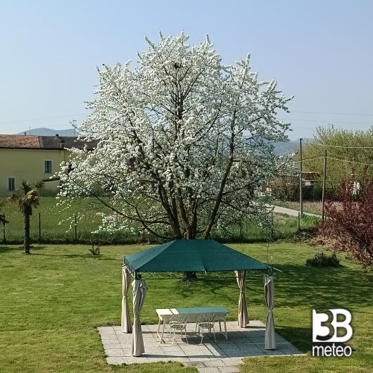 Abano terme