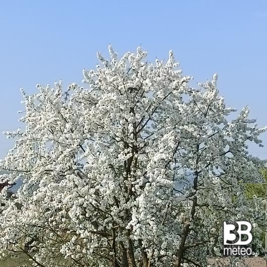 Abano terme