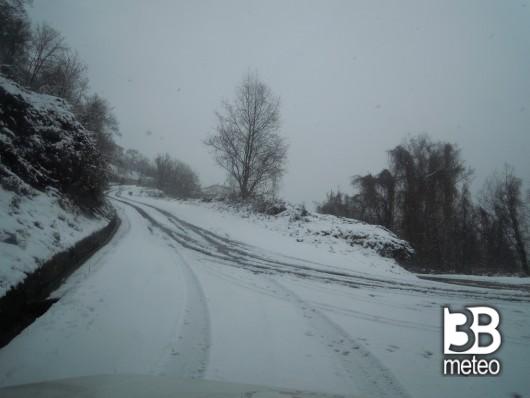 Neve cetraro