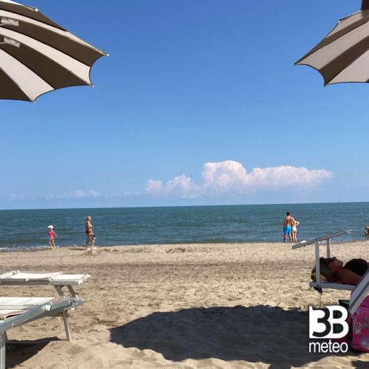 Rosolina mare