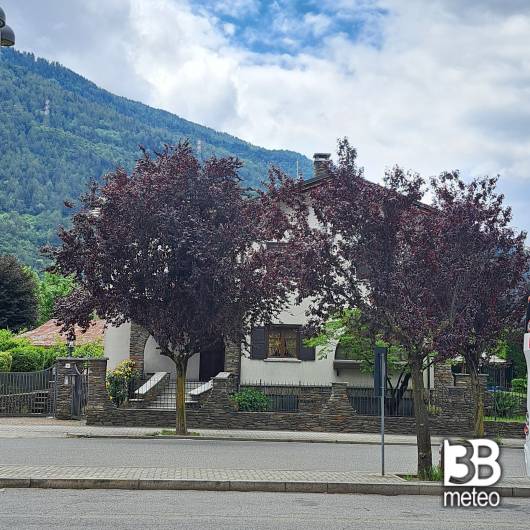 Tirano