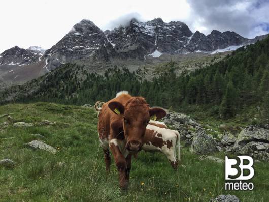 Escursione in valle aurina trentino alto adige 