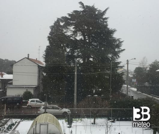 Neve