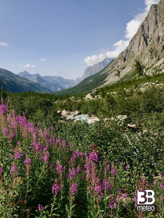 Val ferret