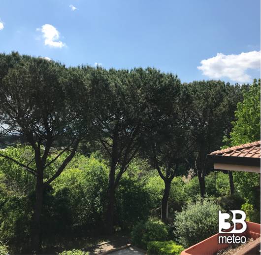 Pieve a nievole