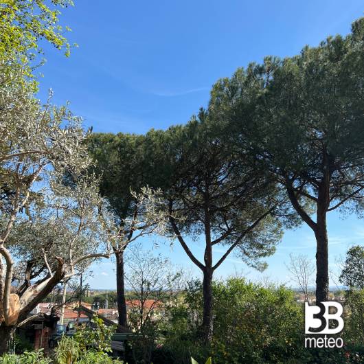 Pieve a nievole