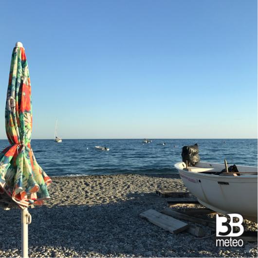 Bova marina