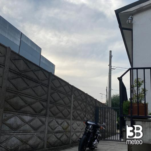 Gorgonzola