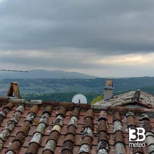 Montone