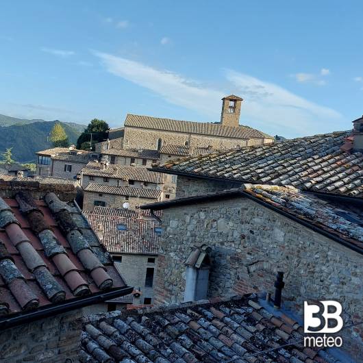 Montone